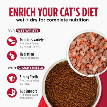 Nulo FreeStyle Cat & Kitten Dry Food - Turkey & Duck Recipe, High Protein Grain Free Cat Food, Natural Kibble with Probiotics, Omega Fatty Acids, 14lb Bag