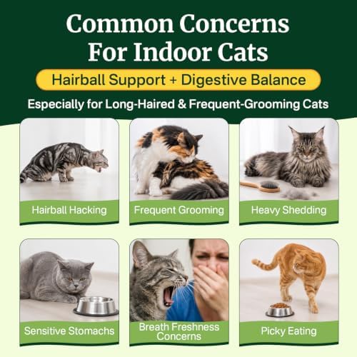 Cat Grass Treats Chews, Cat Treats for Indoor Cats 500 Ct, Hairball Control