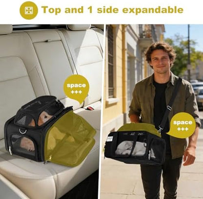 pidipiti 17x11x9.5 Soft-Sided pet Carrier,for Extra-Small Dog or Medium cat