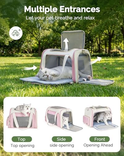 Homespon 34.5L Soft-Sided Cat Dog Carrier, Airline Approved Pet Bag
