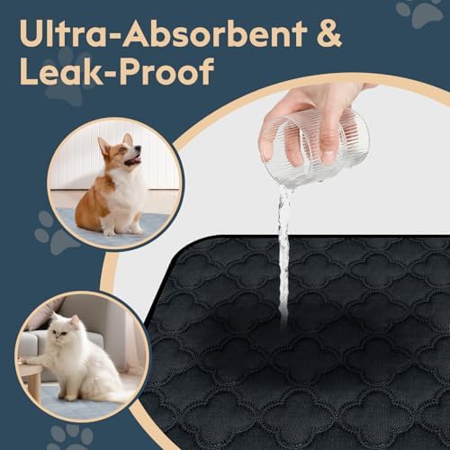FunFurry Washable Pee Pads for Dogs - 1 Pack Reusable Pee Pads，Waterproof Puppy Pads，Pet Training Pads，Super Absorbent with Dog Paw Shape Non-Slip Backing (Dark Grey, 72" X 72" - 1 Pack)