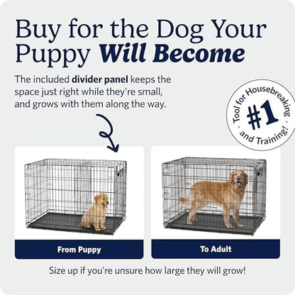 Midwest 30-Inch Single Door iCrate, for Medium Breeds, 21-40 lbs