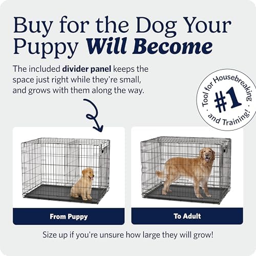 Midwest 48-Inch Single Door iCrate, for Extra-Large Breeds, 90-110 lbs