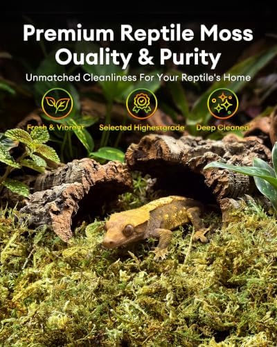 Sphagnum Moss for Reptiles & Plants, 3.5 OZ Terrarium Moss Bedding