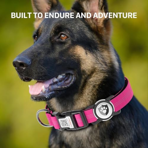 Waterproof AirTag Dog Collar with QR Code Dog Tag, Rose Red M