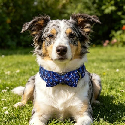 Dog Collars, Summer Blue Dinosaur Pet Collar Adjustable Cotton Boy Dog Collar with Bow Metal Buckle Bowtie Collars for X-Small Dogs