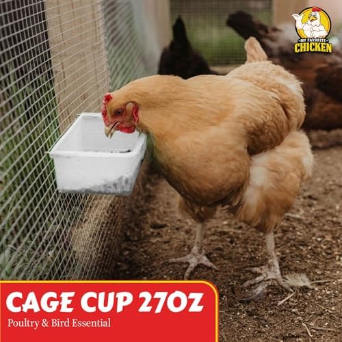 My Favorite Chicken Cage Cup 27oz – Hanging Chicken Feeder & Hanging Chicken Waterer for Chick, Quail, Duck, Parakeet – Small Poultry Waterer & Feed Dish – Cage & Coop Accessories
