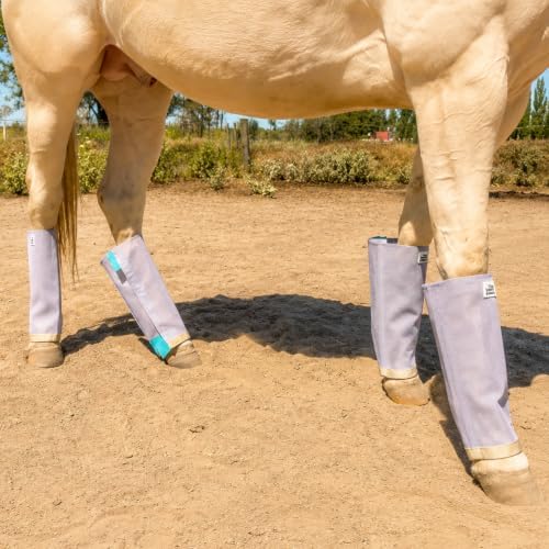 TSZ Horse Fly Boots for Horses - Breathable Fly Leggings [Set of 4]