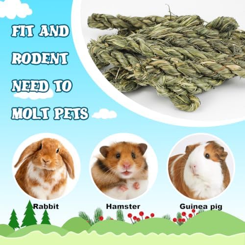 12pcs Timothy Hay Grass-Stick Chew Toys - Natural Dental Chew Snacks for Rabbits, Bunnies & Small Pets: Guinea Pigs, Chinchillas, Hamsters