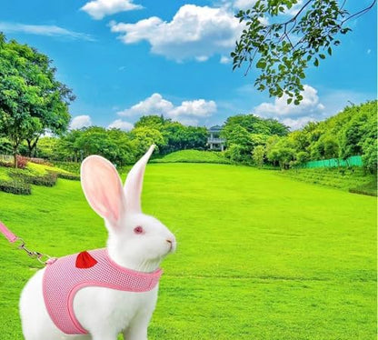 2 Pack Adjustable Bunny Rabbit Harness and Leash Set Breathable Mesh Vest Harness for Rabbits Kitten Ferret Puppy Small Pets Walking Supplies-Grey&Pink,L