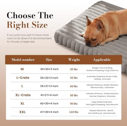 Extra Large Dog Bed Orthopedic Foam with Waterproof Lining