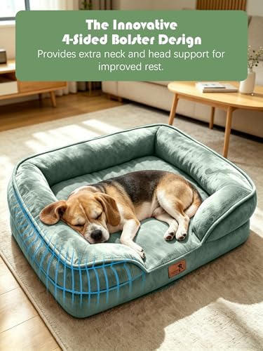 Spotted Play Orthopedic Dog Bed with Sides - Sofa Beds for Medium Dogs, Supportive Foam Pet Couch Bed with Washable Removable Cover, Waterproof Lining and Non-Slip Bottom, Green - M