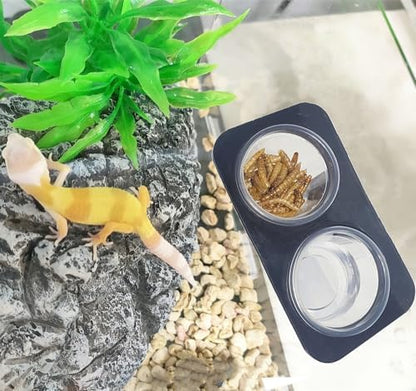 Lizard Gecko Feeding Ledge Holder, with 100 pcs 0.5oz Food Cups Dish