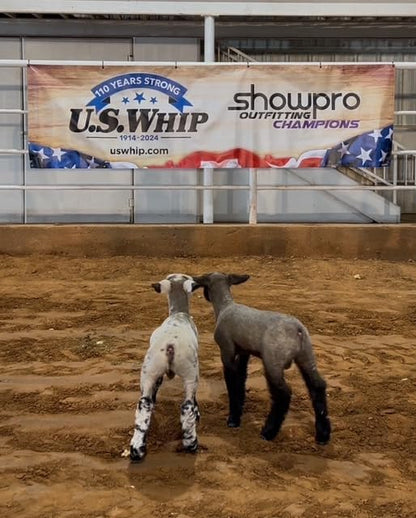 Show Pro Blue Spandex Lamb Tube for Show Sheep & Lamb - Show Livestock Supplies: Sheep Covers & Blankets