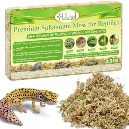 Sphagnum Moss for Reptiles, 3.5 oz Natural Terrarium Bedding Substrate