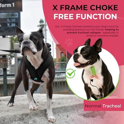 Gooby Black X-Large Polyester Comfort X Harness for Small Dogs, No Pull, Choke-Free, Lightweight Mesh, Machine Washable
