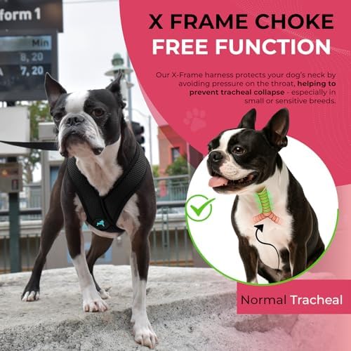 Gooby Comfort X Head-in Dog Harness, Choke-Free, Black, Large