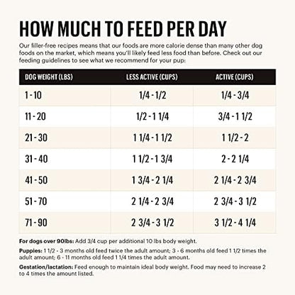 The Honest Kitchen Whole Food Clusters Grain Free Chicken Dry Dog Food, 1 lb Trial Pouch (Pack of 2)