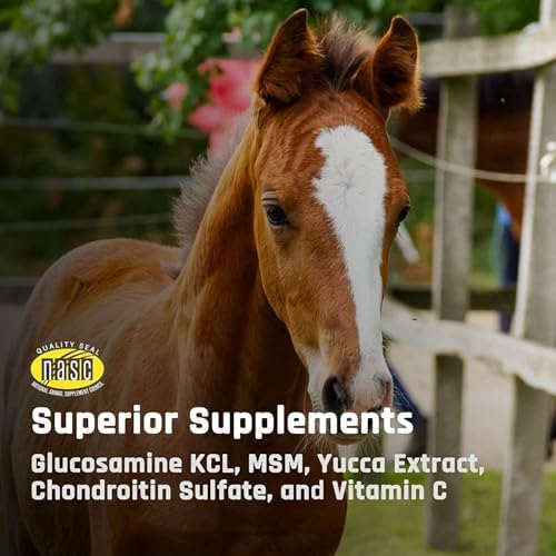 Majesty's Flex XT Wafers - Superior Horse / Equine Joint Support With Increased Supplement Levels - Glucosamine, MSM, Yucca, Vitamin C - 60 Count (2 Month Supply)