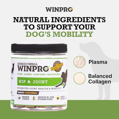 WINPRO Hip & Joint Supplement for Dogs - Plasma Powered Soft Chews for Joint Health & Mobility – Fast-Acting with Collagen & Natural Ingredients for Dogs of All Breeds – 60 Chews