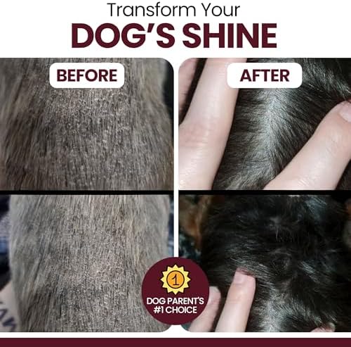 Omega 3 Fish Oil for Dogs, Lamb Flavor - 180 Soft Chews for Skin and Coat