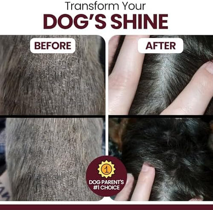 Omega 3 Fish Oil for Dogs, Lamb Flavor - 180 Soft Chews for Skin and Coat