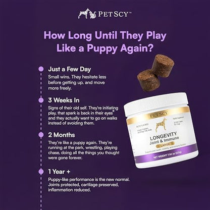 Petscy Longevity Hip & Joint + Immune Support for Dogs - Large (7.5g Chew) - High Dose Glucosamine, MSM, Chondroitin, Green Lipped Mussel, Omega 3, Probiotics - 30 Chews (Large Dogs)