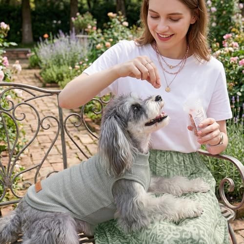 3Pack Dog Shirts Lightweight Waffle Dog Shirt for Small Dogs Sleeveless Dog Shirt for Small Medium Boy Girl Dogs Cozy & Breathable Pet Vest