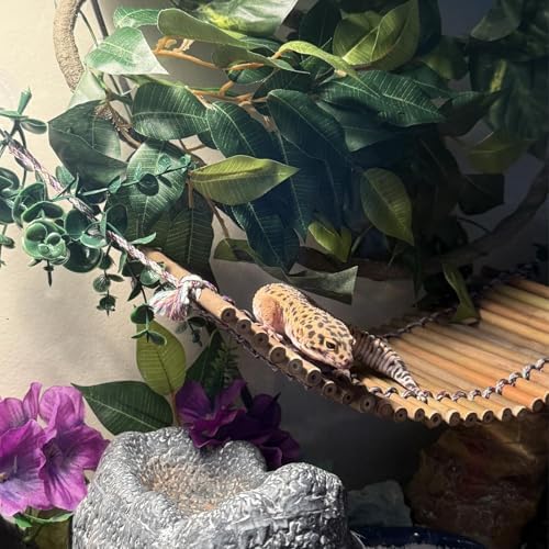 Reptile Bamboo Climbing Bridge,Lizard Ladder Hammock Bridge Bearded Dragon Hanging Bamboo Ladder Lounger Lizard Hammock Terrarium Vines Decor Reptile Habitat Tank Accessories for Chameleon Gecko