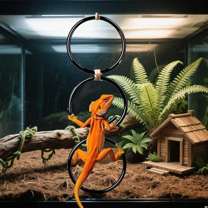 2 Pack Snake Climbing Rings for Ball Python & Corn Snake,Reptile Enrichment Toys for Snake,Ball Python Tank Decor, Reptile Tank Accessories for Bearded Dragon,Chameleon, Iguana, Gecko, Lizard (Black)