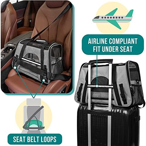 PetAmi Airline Approved Pet Carrier for Cats & Small Dogs, Small Light Gray