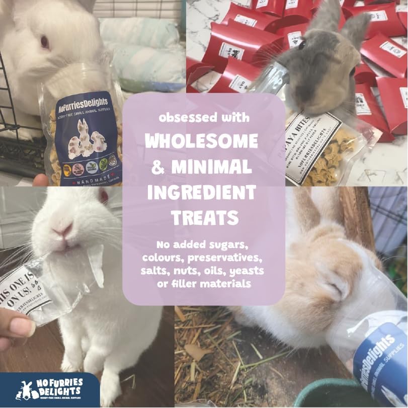 Forage Mix,100% All Natural Botanical Herb Treat for Rabbit Hamster Guinea Pig Chinchilla Chicken Hermit Crab Gerbil Degu & Other Small Animals (Floral Forage Mix 25g)