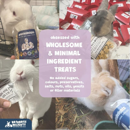 Forage Mix,100% All Natural Botanical Herb Treat for Rabbit Hamster Guinea Pig Chinchilla Chicken Hermit Crab Gerbil Degu & Other Small Animals (Floral Forage Mix 25g)