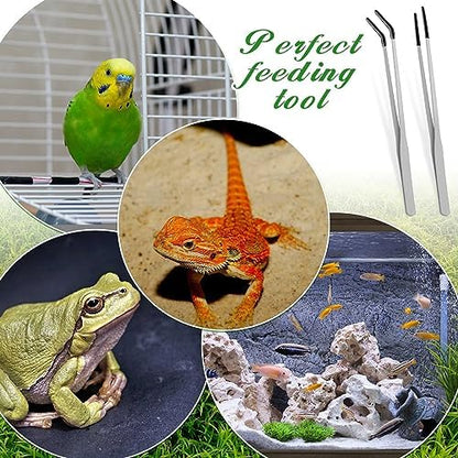 Lasnten 2 Pcs Reptile Feeding Tongs, 10 Inch &10.5 Inch, Long, Silver