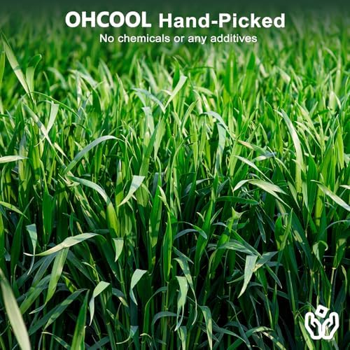 Premium Dust-Free Oat Hay 6.6lbs (6×1.1lbs) for Small Pets