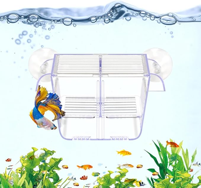 DaToo Fish Breeding Box Aquarium Holding Tank Transparent Fish Isolation Box Acclimation Hatchery Incubator Breeder for Betta Shrimp Clownfish Guppy Small