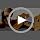 Wooden Bunny Bed 2 in 1 Rabbit Guinea Pig Bed Small Animal Bed with Stairs