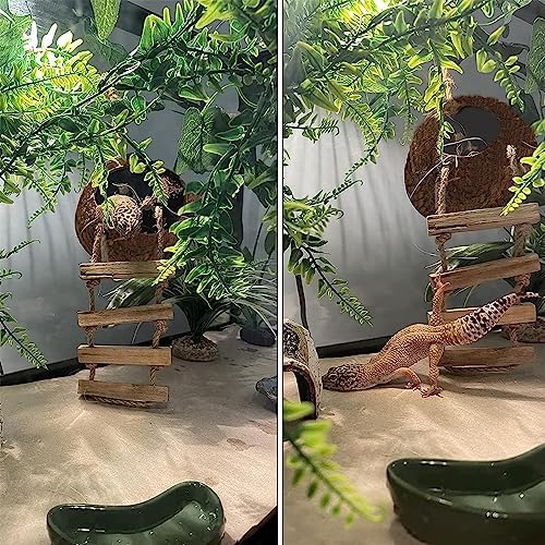 6PCS Crested Gecko Coconut Hut, Lizard Coco Den with Ladder and Reptile Hammock Bearded Dragon Tank Accessories Climbing Hanging Plants Jungle Vine Flexible Reptile Leaves Decor