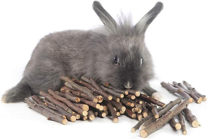 William Craft 100g Apple Sticks Small Animals Molar Wood Toys for Rabbits Chinchillas Guinea Pig Hamster Gerbil Parrot Bunny and Small Animals Chew Stick Treats