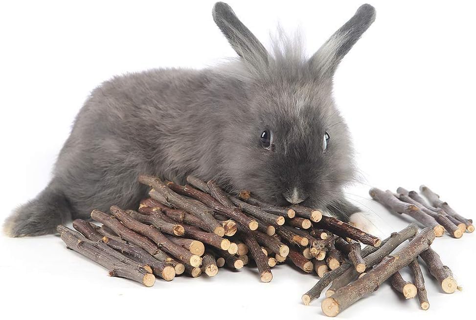 William Craft Apple Sticks Pet Chew Toy Treats for Chinchilla Guinea Pigs Rabbits Squirrel Hamster Bunny (Pack of 2)
