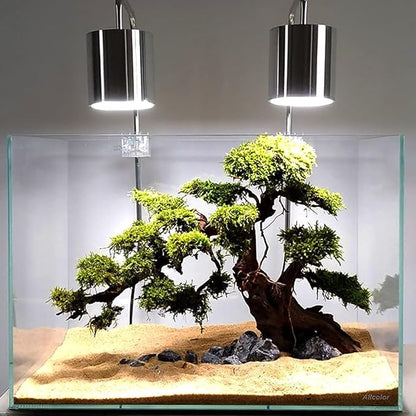 Allcolor Ultra Clear Rimless Aquarium Tank 6-60 gallons Low Iron Glass (10GaI - Top Glass Canopy)