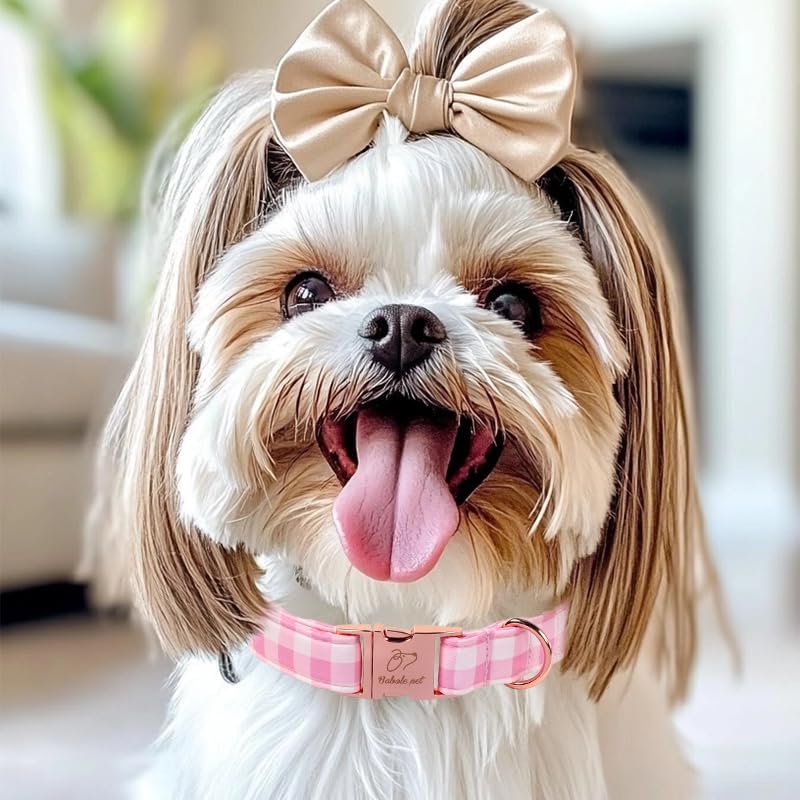 Girl Dog Collar, Classic Pink Gingham Dog Collars - Soft Adjustable Spring Summer Everyday Collars for Small Medium Large Dogs, Sweet Checkered Female Dogs Collar XS