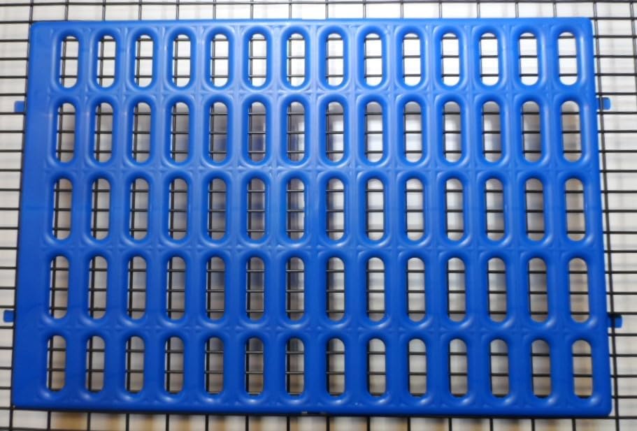 Saguaro Acres Rabbit Cage Resting Mat - Pack of 6 (Blue)