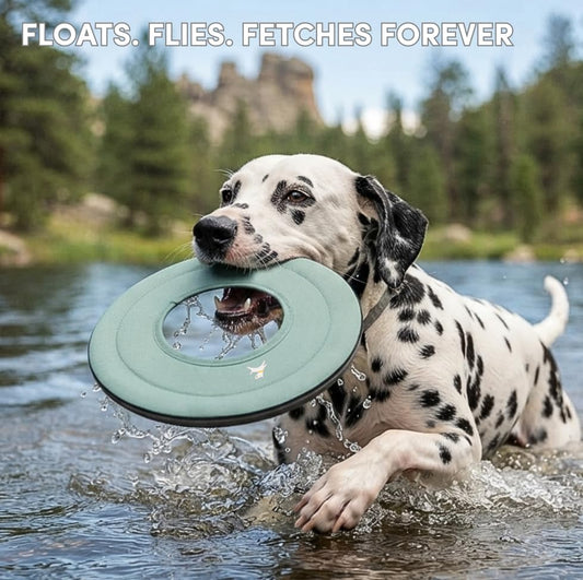 OllyDog Mini Super Flyer, Dog Flying Disc – Floating Fetch Toy, Soft on Teeth, Eco-Friendly Recycled Material, Lightweight, for Small & Medium Dogs (Surf, 9")