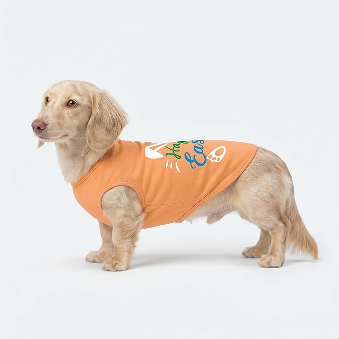 Fitwarm Happy Easter Bunny Dog Shirt, Easter Dog Clothes for Small Dogs Boy Girl, Cute Pet Outfit, Green, Blue, White, Orange, Large