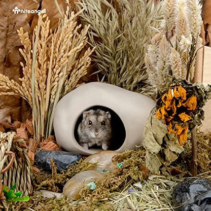 Niteangel Ceramic Hamster Habitat Hideout: Stone-Shaped & Non-Chewable