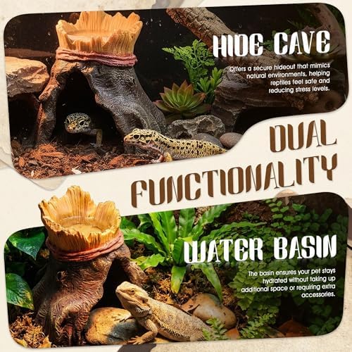 Resin Reptile Hide with Integrated Basin – Decorative Cave & Bowl for Terrarium Setup, Suitable for Bearded Dragon, Gecko, Turtle, Snake, Spider, Frog, Scorpions