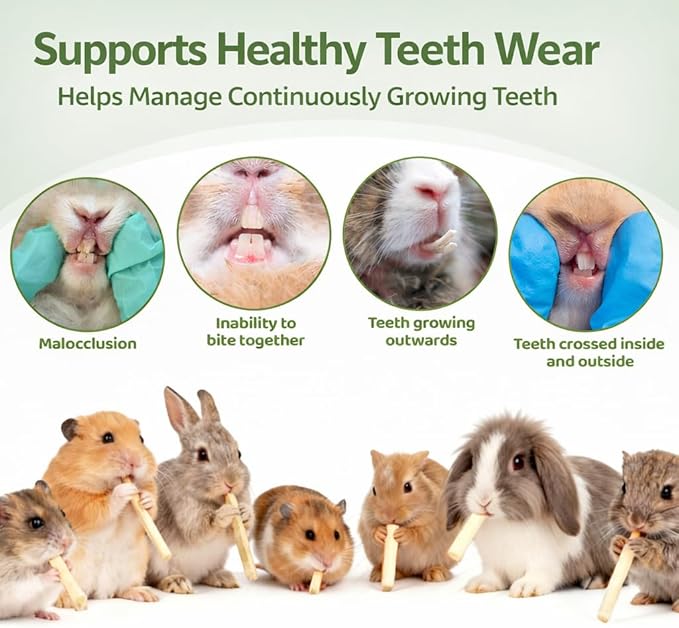 Sukh 240g Sweet Bamboo Chew Sticks - Rabbit Chew Sticks & Bamboo Sticks for Rabbits, Natural Bunny Bamboo Chew Toy for Teeth Grinding, Small Animal Treats for Guinea Pig, Hamster, Chinchilla