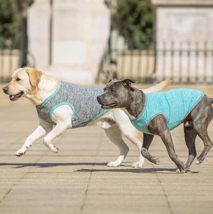 KYEESE 2 Pack Dog Shirts for Large Dogs Quick Dry Breathable Stretchy Sun Protection Dog T-Shirts with Reflective Label Tank Top Sleeveless Vest Dogs Clothes, Grey+Blue, 3XL