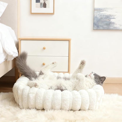 Dog Beds for Very Small Dogs & Cats - Washable Rectangle Comfy Sleeping Puppy Bed Cuddler with Anti-Slip Bottom, Soft Calming Plush Pet Sofa Bed for Indoor Kittens & Puppies, XS (18"x14"x4", Cream)